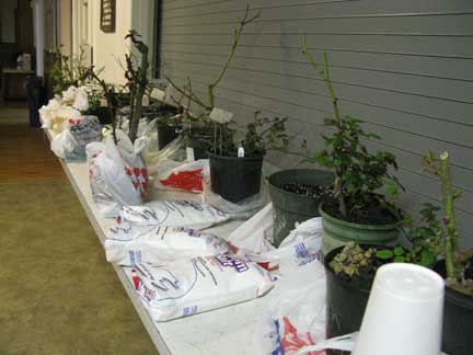 Auction Items