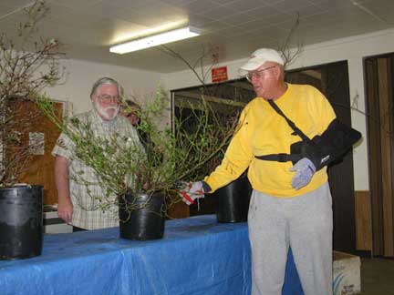Joe Pruning