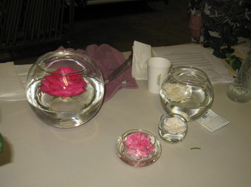 Floating bowls