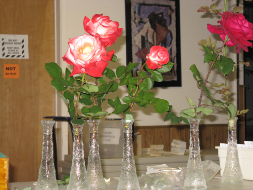 Stages of bloom