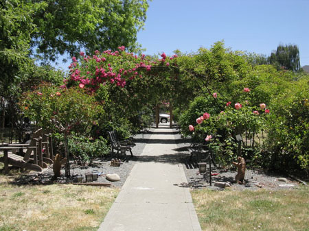 IMG_2542_resize