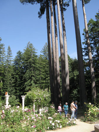 IMG_2584_resize