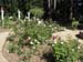 IMG_2574_resize