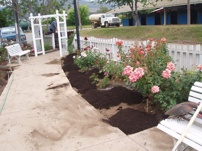 MBRS Rose Garden 1