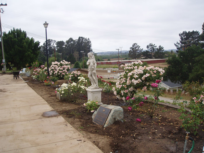 MBRS Rose Garden 6