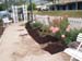 MBRS Rose Garden 1